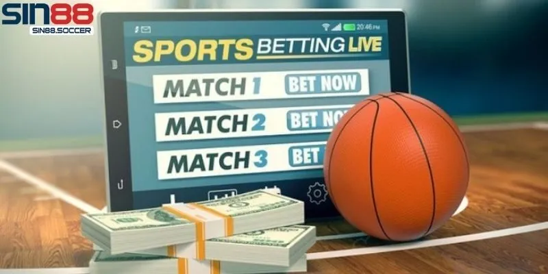 Bí quyết cược bóng rổ với tỷ lệ thắng cao