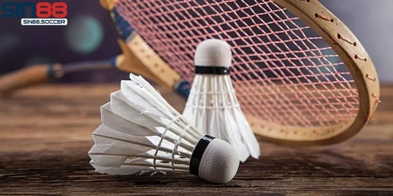 Tổng quan về cá cược cầu lông